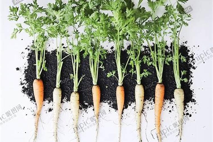 有机肥发酵剂制作方法