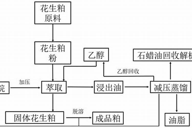 桔子树叶片从尖端开始变黄,是什么