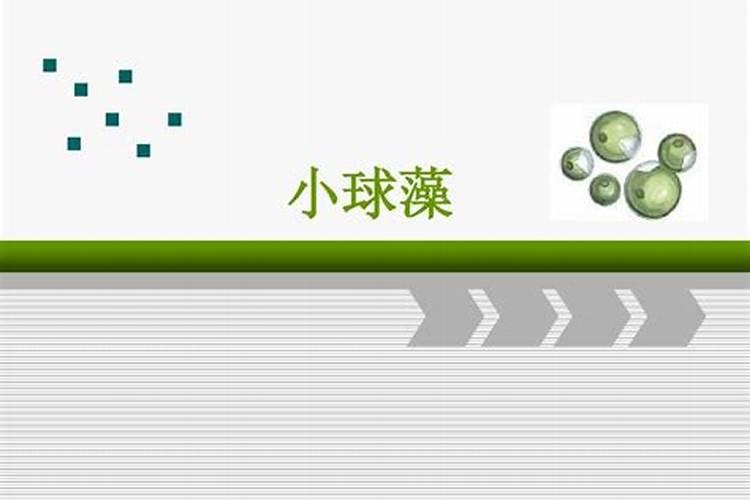 矿源黄腐酸钾生产厂家直销？矿源黄腐酸钾什么牌子好？