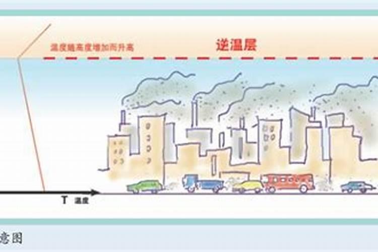 蝇蛆的粪便可以养蚯蚓吗