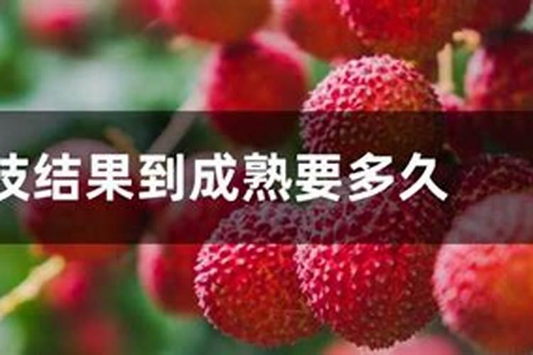 保花保果农药最佳配方