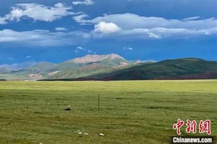 紫花苜蓿多久能收割