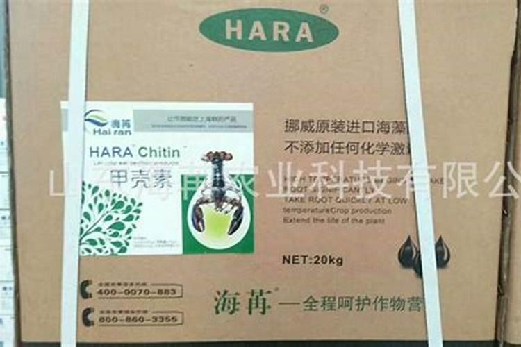 水稻旱青立病是什么原因造成的有什么办法补就？