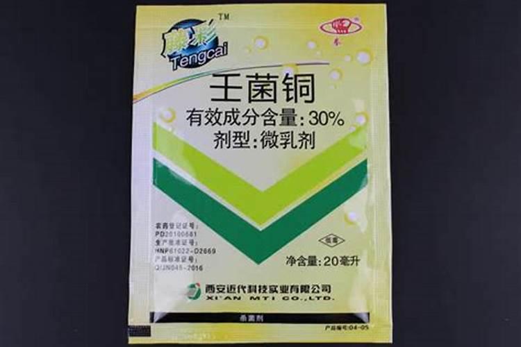 黑法师用什么肥料