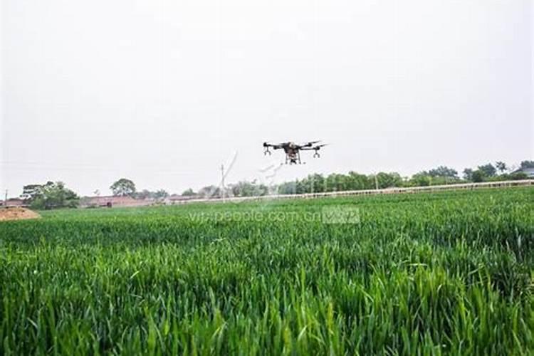 水溶肥的正确使用方法 水溶肥的正确使用方法大全