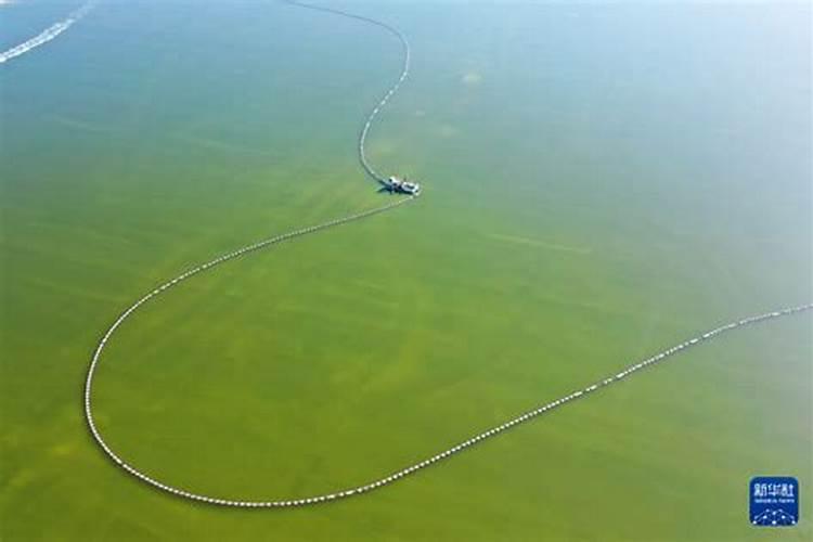 磷肥用于什么农作物,附使用方法