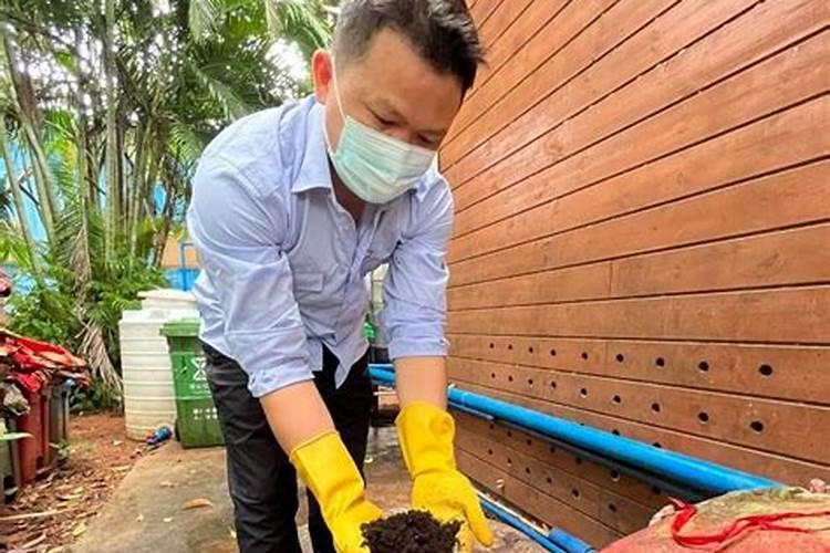 怎么用氮磷钾施肥效果好