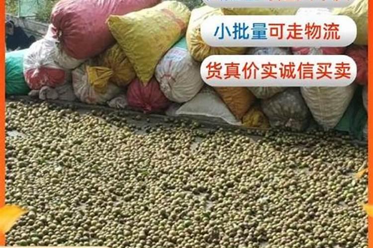 上证指数低开高走,市场情绪大幅回暖