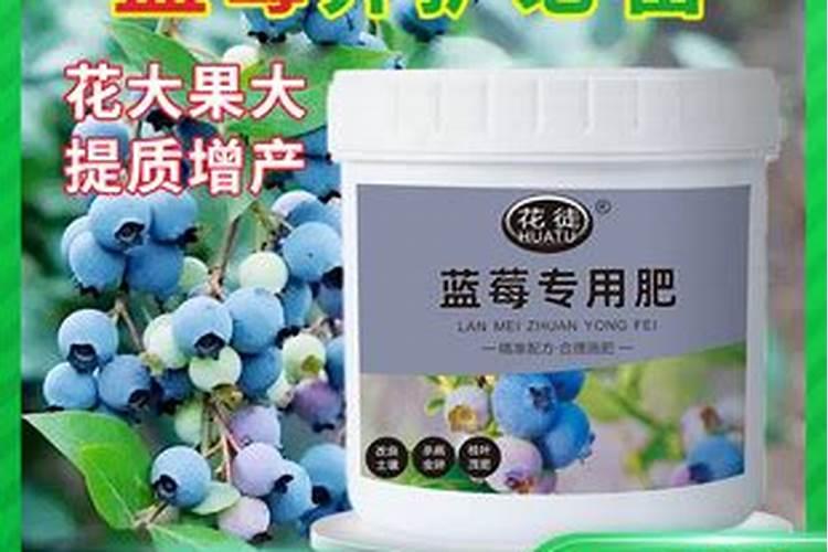 蓝莓用什么肥料最好