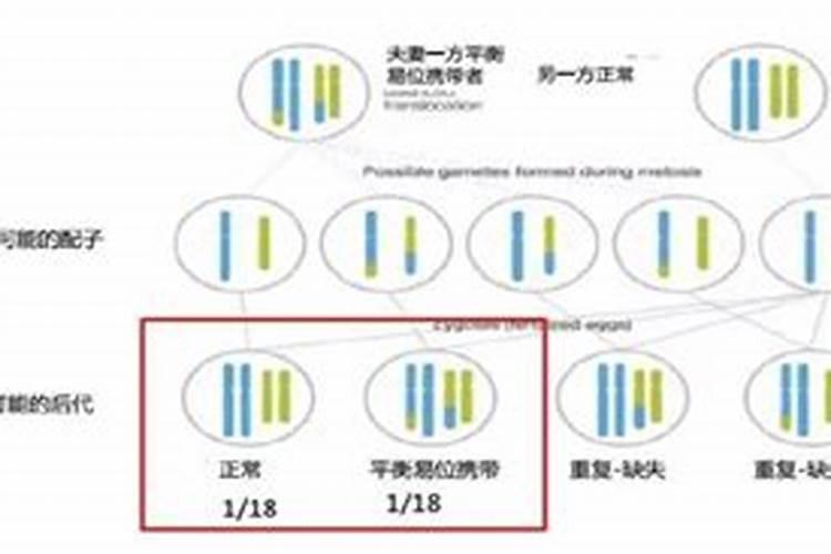 杨梅喷什么药能使果实变大