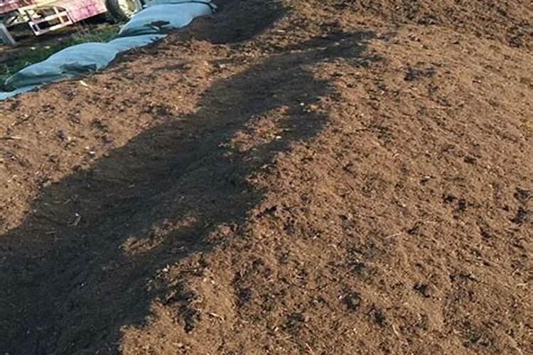 腐植酸是干什么用的？多少钱一吨？