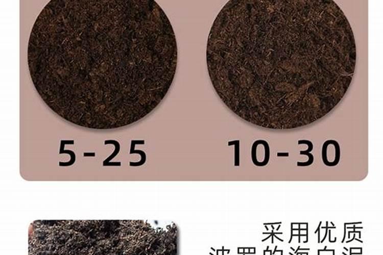 茉莉花大量元素水溶肥用什么好