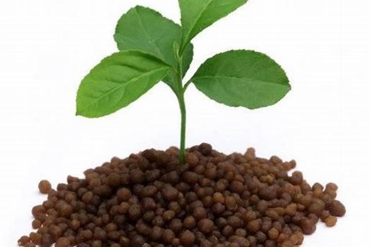 植物缺氮,缺磷,缺钾各表现出的现象是怎样的？