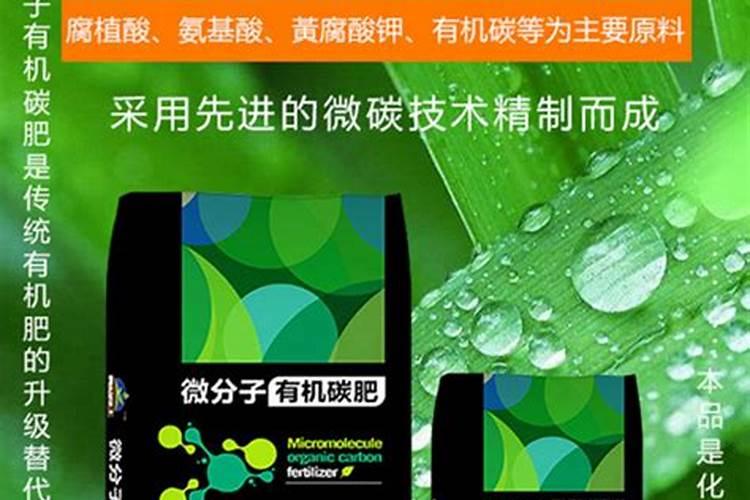 菠萝苗需要什么肥料生长？