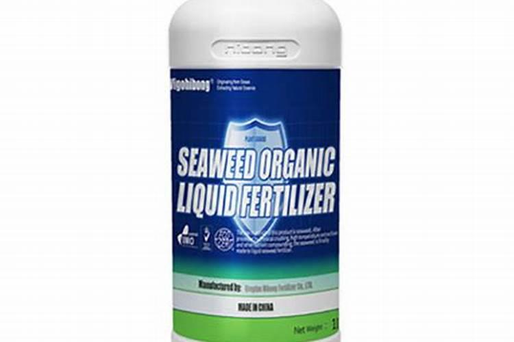 海藻肥料有什么特点？海藻肥料有什么功能？