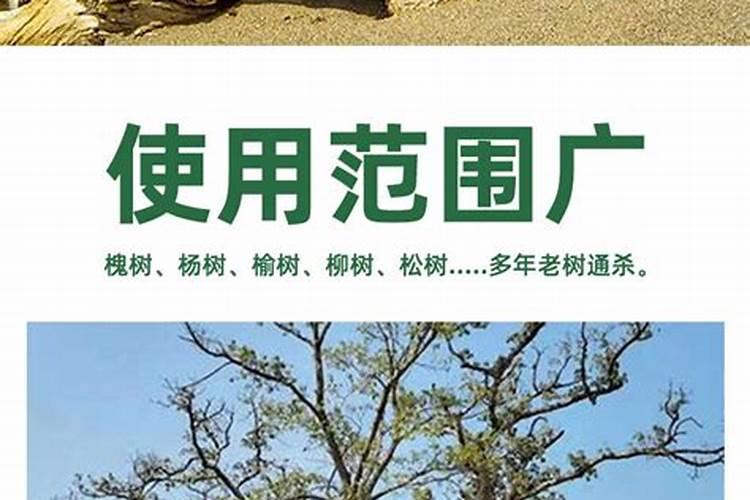 小麦一年施肥几次 施肥最佳时间