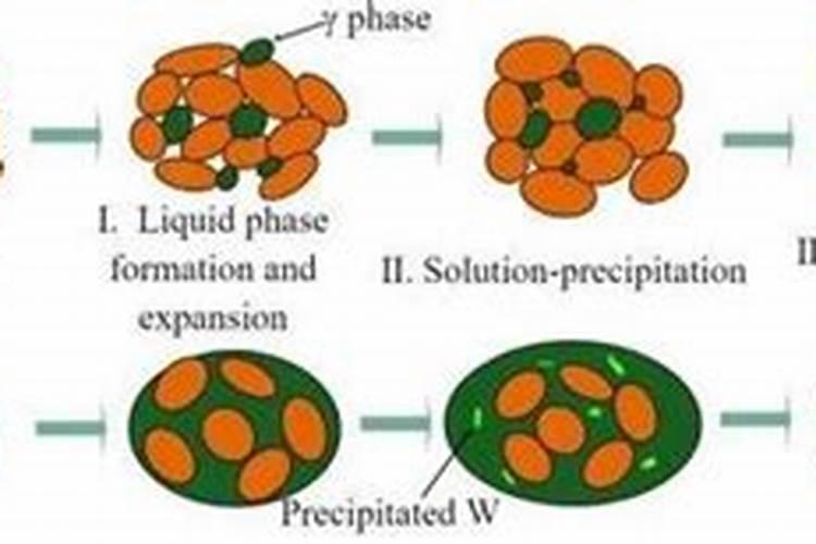 韭菜能用尿素追肥吗