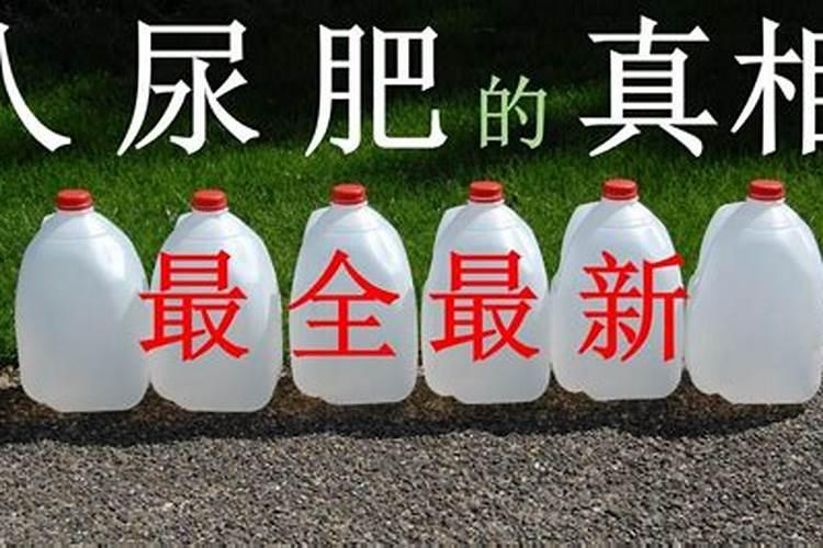 尿素可不可以作为小麦叶面肥
