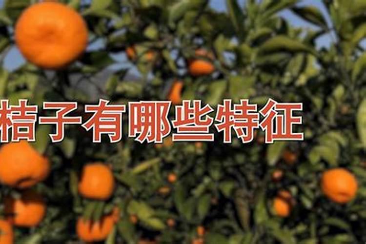 磷酸二氢钾可以用什么代替