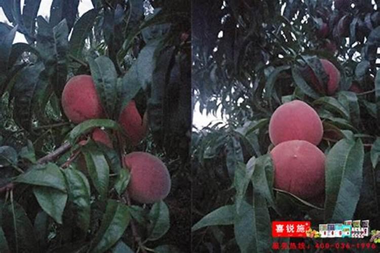 阳春有哪些人少景美的景点推荐？