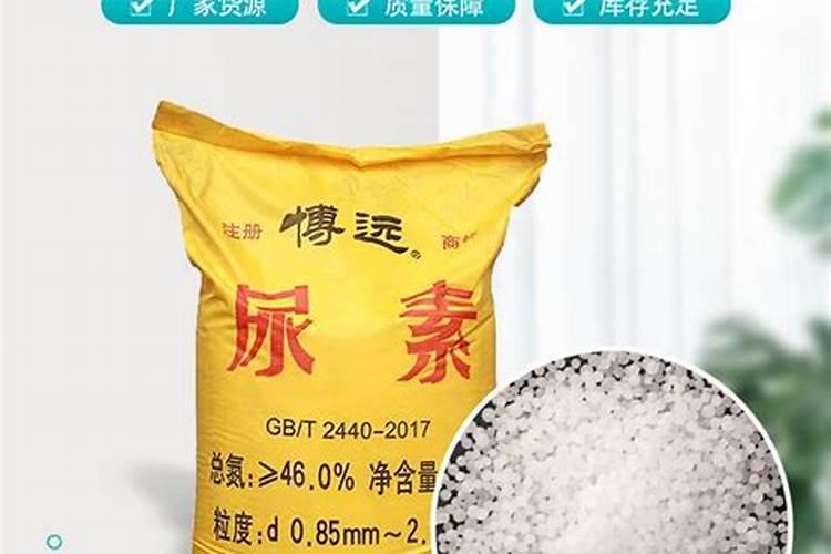 玉米打虫子药的最佳时间是几点