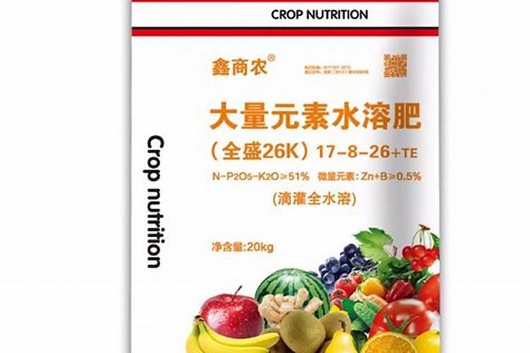 七月份播种什么青菜最好