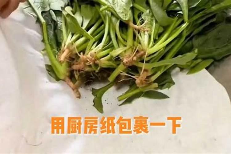 大蒜返青期怎么管理
