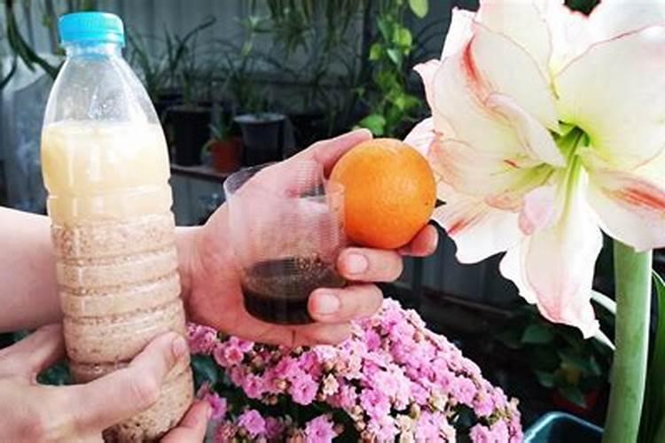 黄磷和白磷,红磷的区别