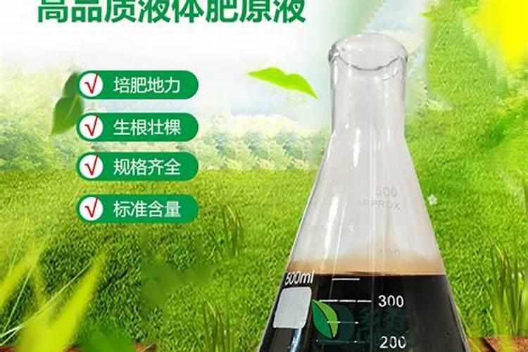 水溶肥十大名牌