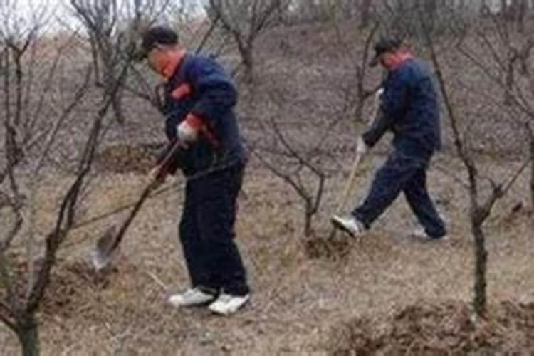 经常吃榴莲有什么好处和坏处