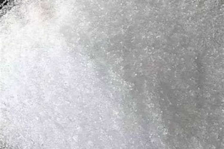 杨树施肥用什么肥料好