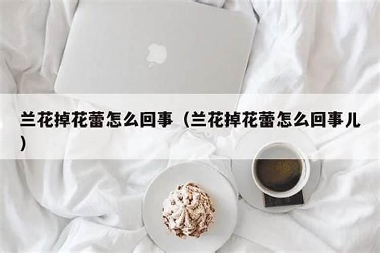 石榴花枝条猛长且花蕾很少是怎么回事