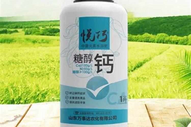 地栽月季怎样施肥