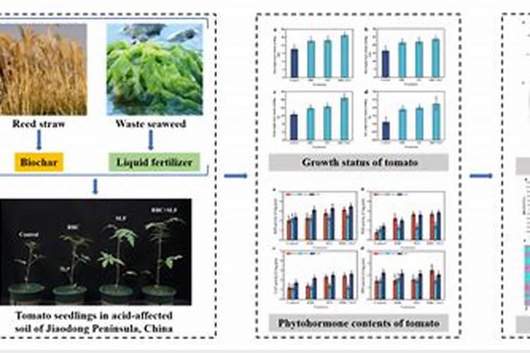 德沃多bb肥中黄色颗粒是什么肥