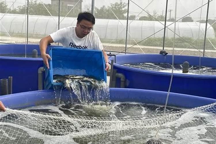 种植什么肥土最好