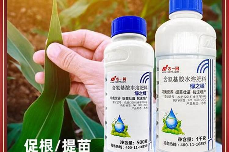 玉米和大豆怎么种 充分利用了光