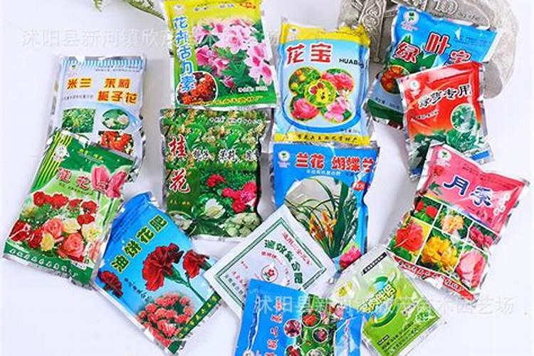 玫瑰花现代月季施什么肥最好？