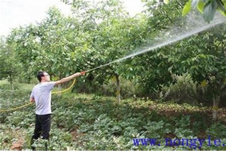 10克芸苔素兑多少克磷酸二氢钾合适