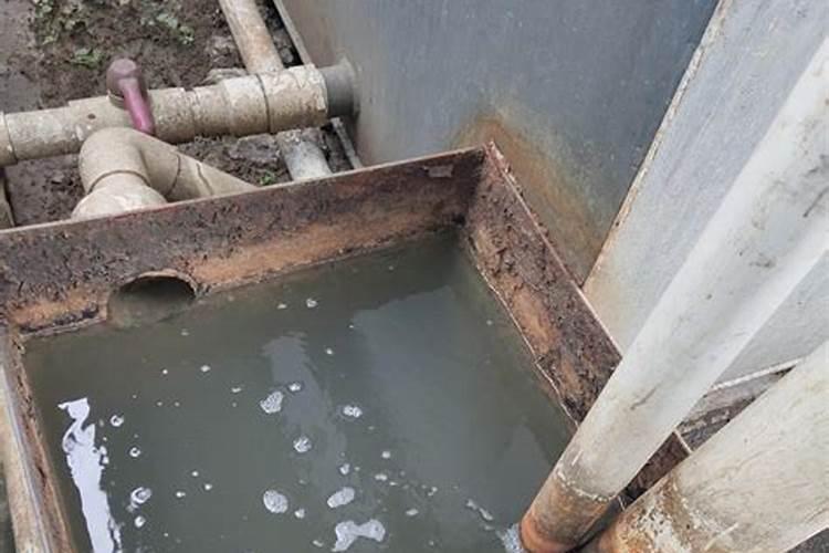 2025水稻78月会涨价吗