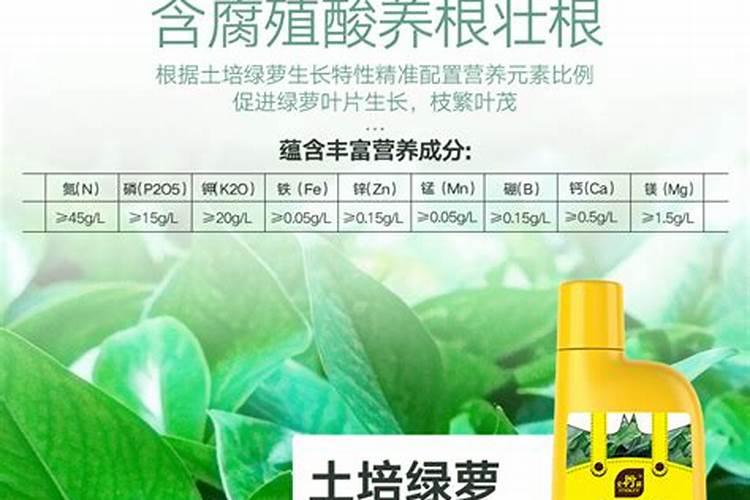 家里养花,只要准备3种肥料就够了