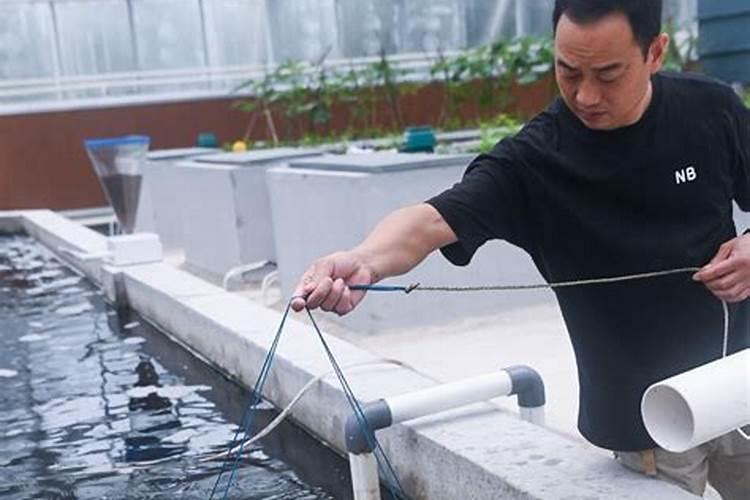 冬瓜怎么知道可摘了