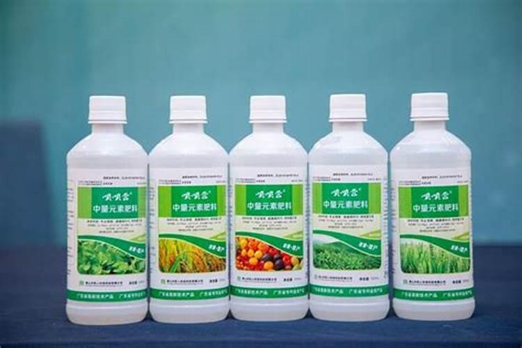 种小番茄和草莓什么时候施肥最好？(在线等)