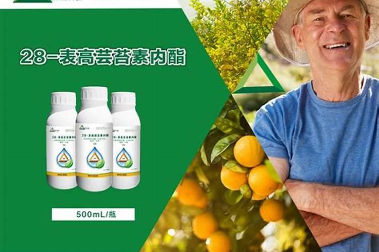 硫酸钾肥料适合种什么