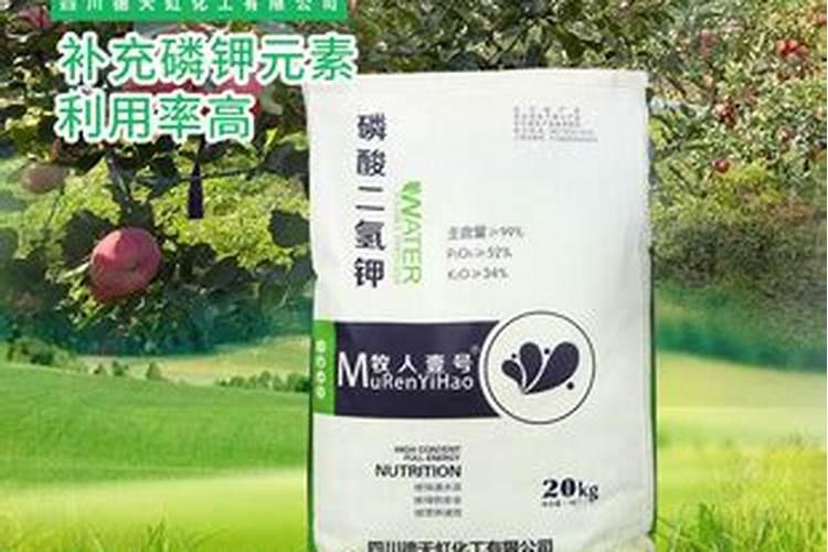 谷子叶面肥啥时候喷好 用什么叶面肥增产
