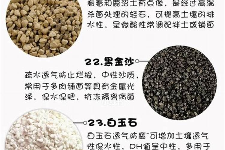 能提苗的玉米专用叶面肥吗？