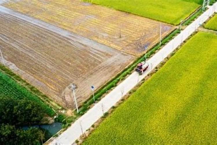 海带上面的丝丝可以吃吗