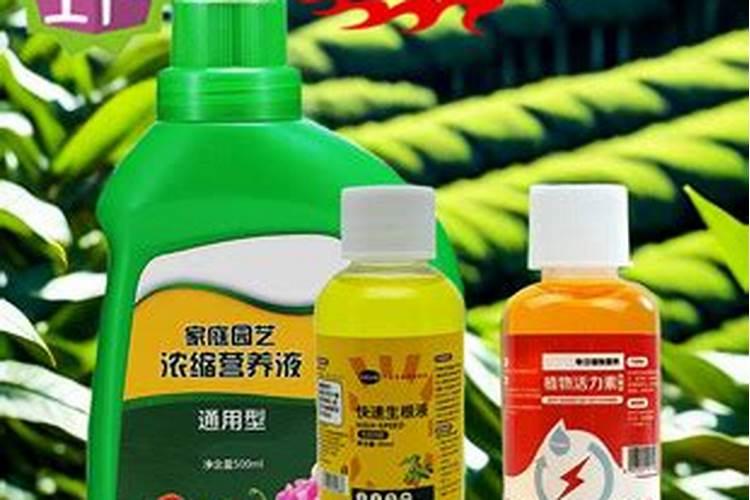 小麦拔节孕穗期喷施硼肥,可以增