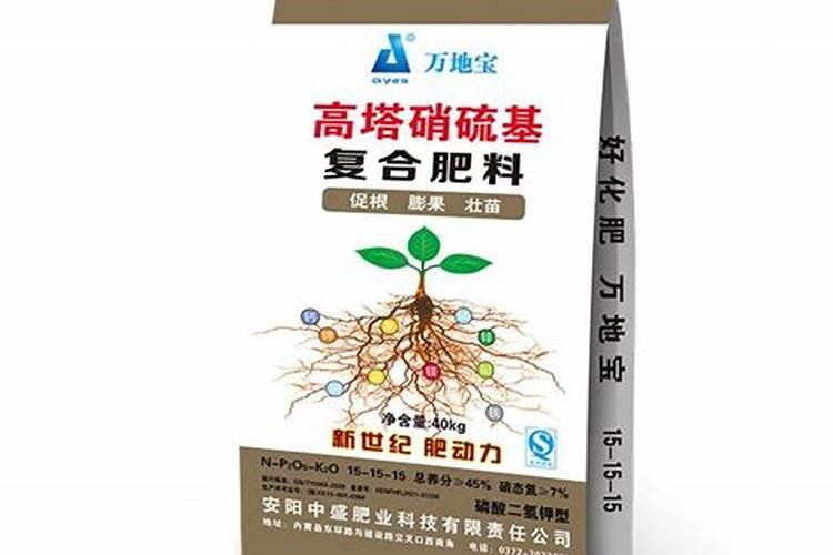 在经期吃哪些蔬菜好