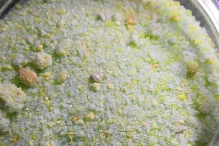 尿素能当水溶肥吗