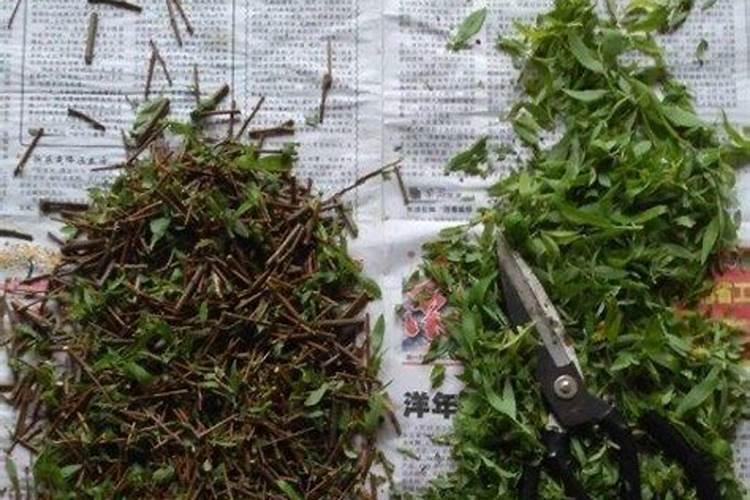 家庭养花自制花肥的办法有哪些？